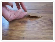 laminaat-met-losse-decorlaag